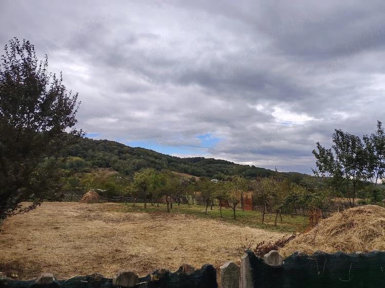Casă cu 4 camere cu Teren 2250 Mp în Central