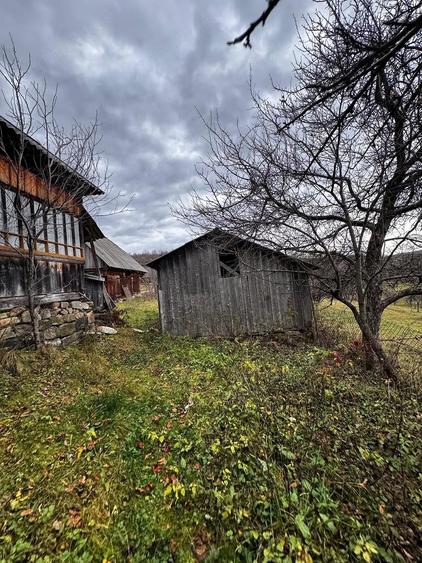 Casă cu Teren 5000 Mp în Poienile Izei