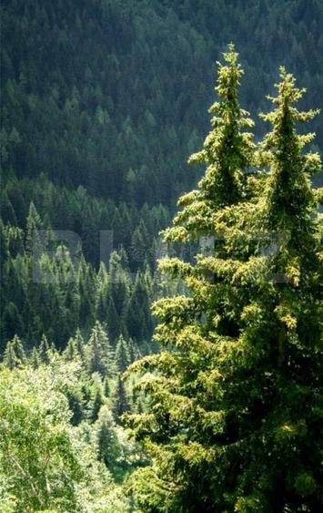 Teren extravilan de 3800000 mp, în Exterior Sud