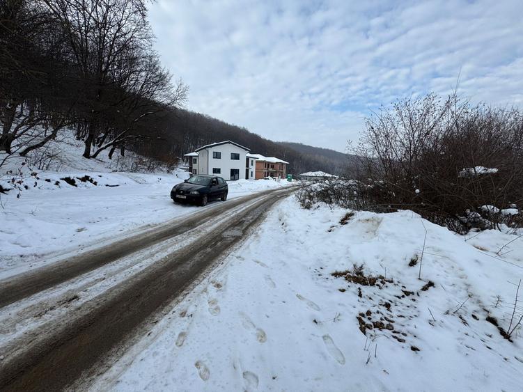 Teren Construcții intravilan de 2877 mp, în Florești
