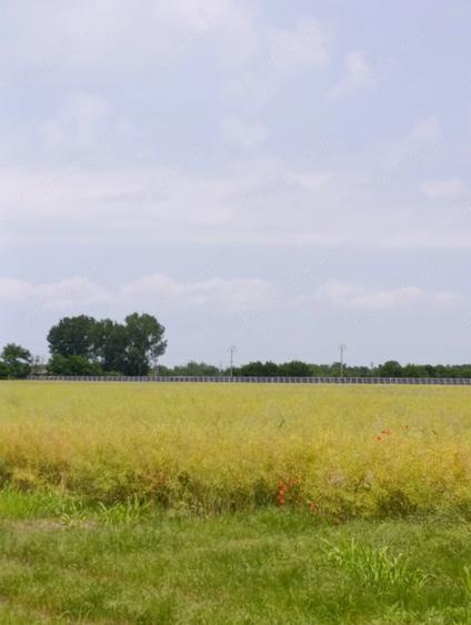 Proiect Greenfield, S-22Ha, P.U.Z, Rezidential, Energie Verde, Ilfov. - 1