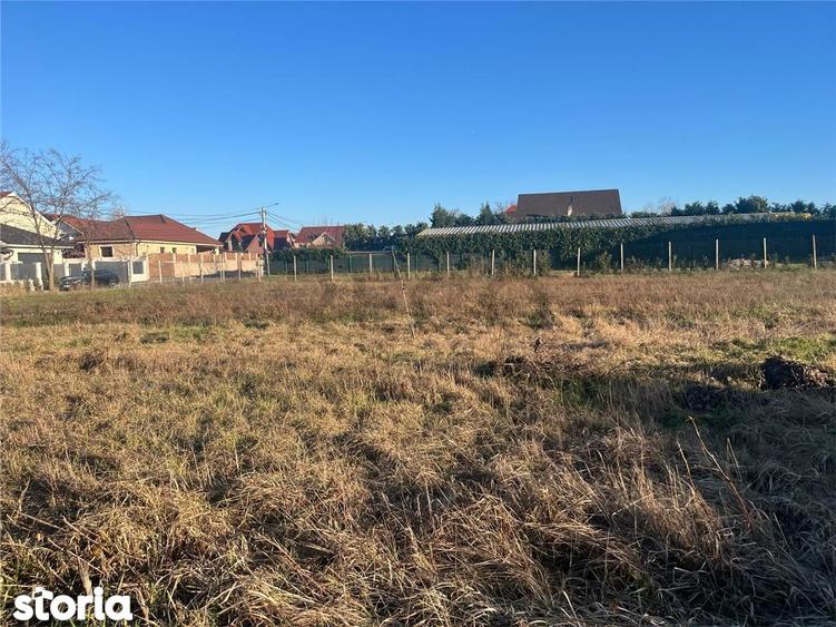 RECO Teren intravilan pentru loc de casa 500 mp Sanmartin - 5