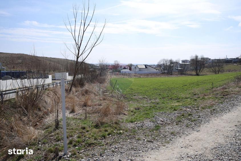 Teren de 3500 mp, în Moara