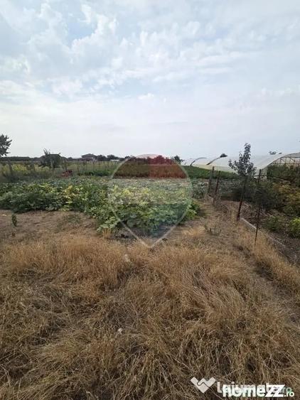 Casă cu 4 camere cu Teren 3196 Mp în Mădăras
