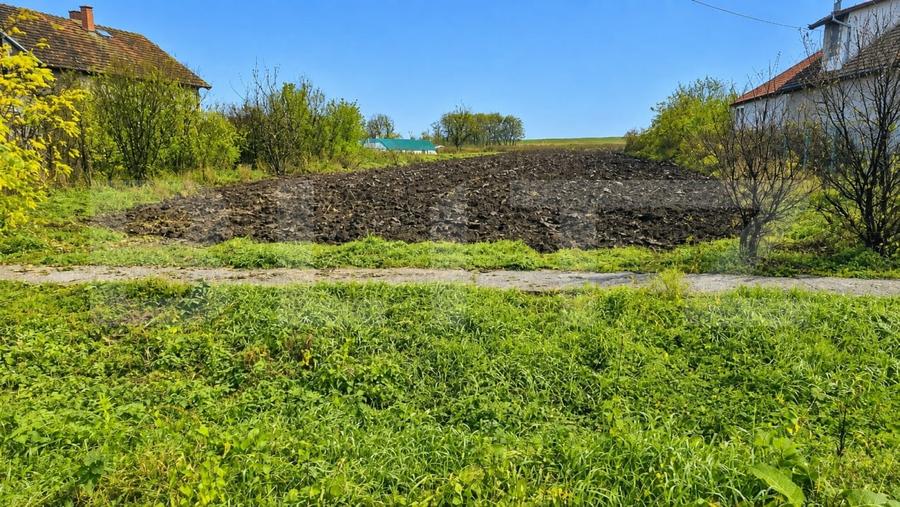 Teren agricol intravilan de 27958 mp, în Vetiș