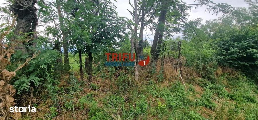 Teren de 1300 mp, în Straja