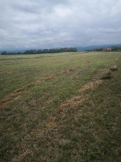 Teren de 4100 mp, în Pricaz
