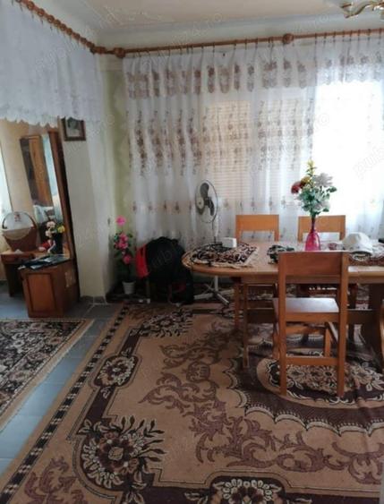 Casă cu Teren 3500 Mp în Vișeu de Jos