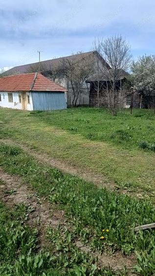 Teren de 4629 mp, în Negreni