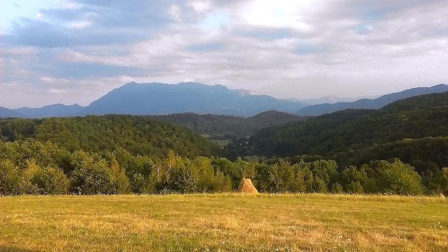 Teren de 11600 mp, în Poiana Mărului