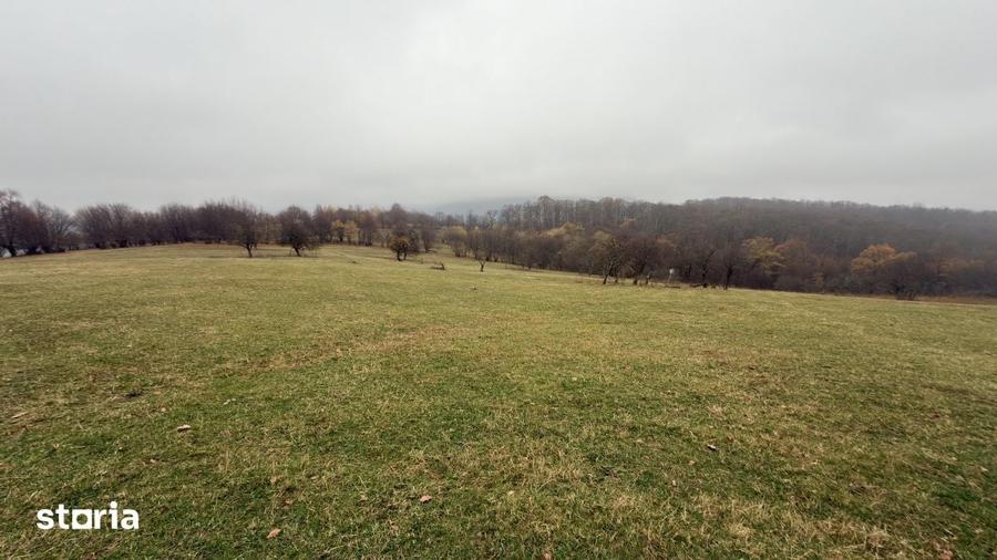 Teren de 35000 mp, în Central