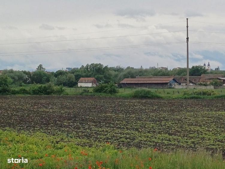 Spațiu comercial, în Gușterița