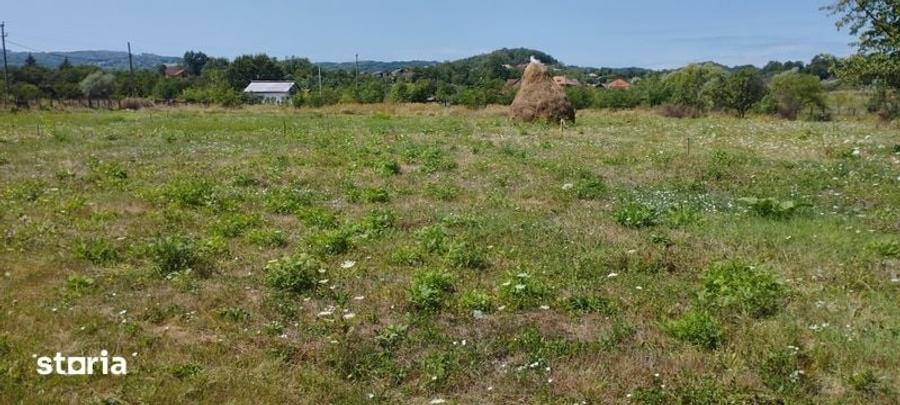 Teren de 650 mp, în Bujoreni
