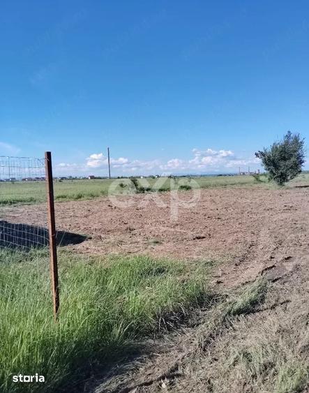 Teren de 303 mp, în Bradu