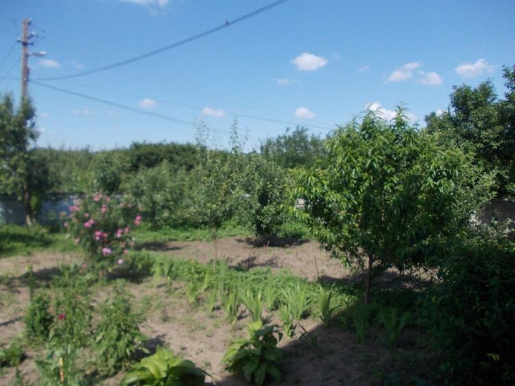 Casă individuală cu 5 camere cu Teren 1500 Mp în Dragalina (Cristinești)