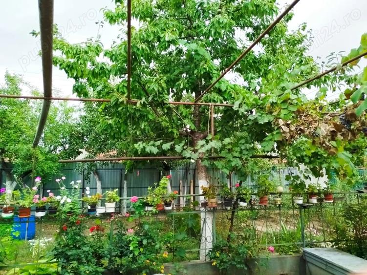 Casă cu 4 camere cu Teren 720 Mp în Central