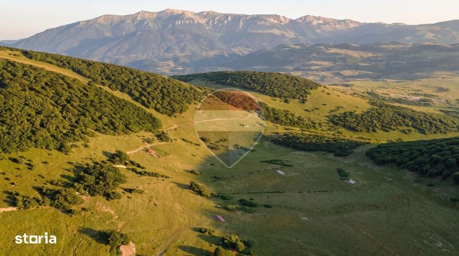 Teren intravilan|813 mp|Ciocanu, Arges|Priveliste spectaculoasa - 4