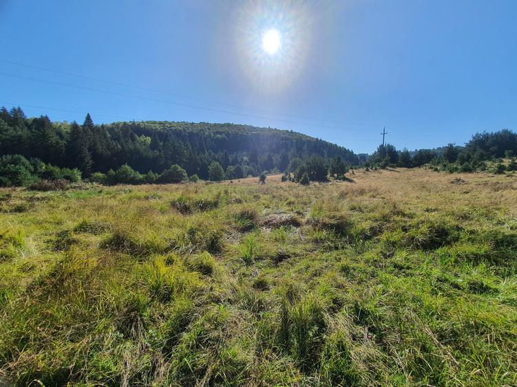 Teren Construcții intravilan de 1810 mp, în Brebina