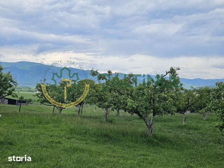 Teren de 5000 mp, în Gura Râului