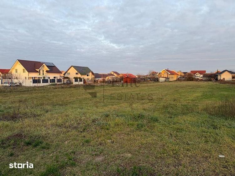 Teren intravilan 1150 mp de vanzare in Cihei - 9