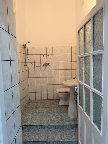Spațiu comercial, de 60 mp, în Șepreuș