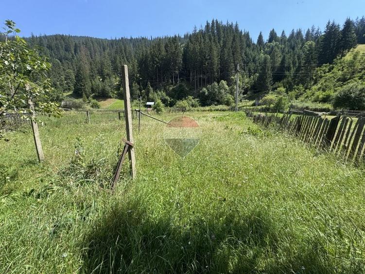 Teren Construcții intravilan de 1342 mp, în Borca