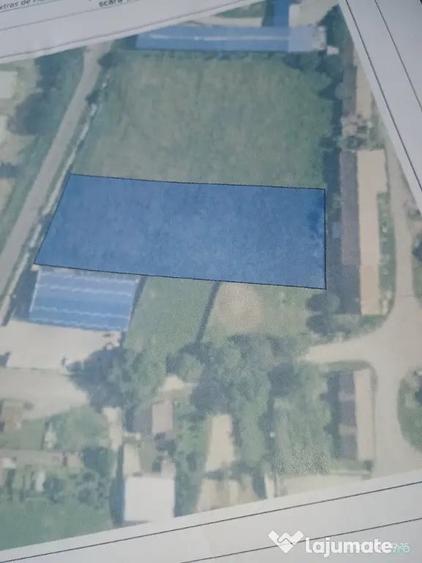 Teren în Cărpiniș