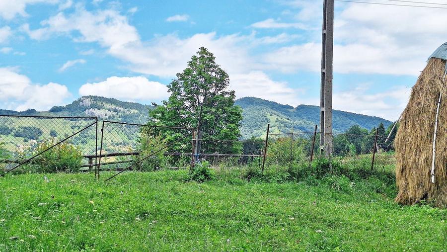 Teren Construcții intravilan de 1000 mp, în Peștera