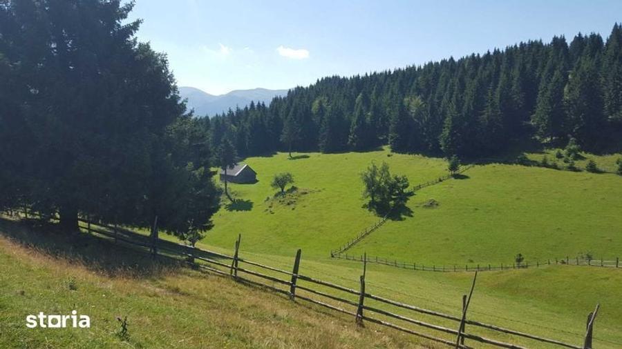 Teren de 7000 mp, în Fundata