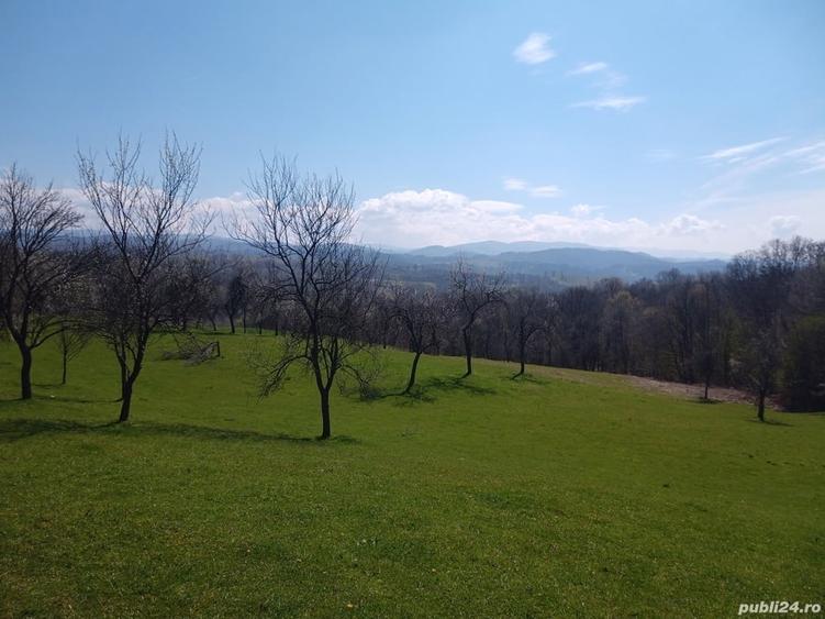 Teren de 17264 mp, în Pietroasa