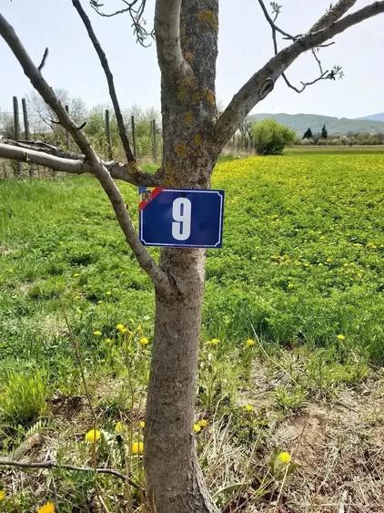 Teren de 2160 mp, în Mărăști