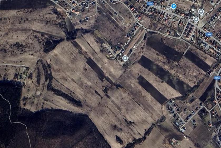 Teren agricol extravilan de 3700 mp, în Chinteni