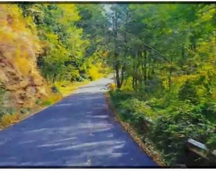 Teren de 5000 mp, în Brăești