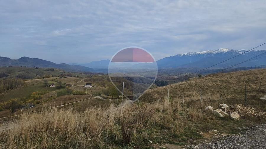 Teren agricol intravilan de 1518 mp, în Șirnea