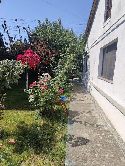 Casă cu Teren 485 Mp în Central