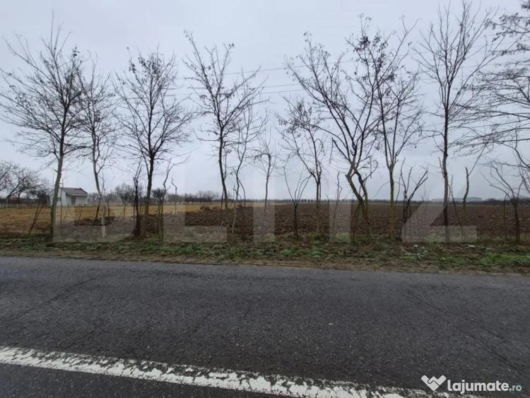 Teren de 2500 mp, în Sud