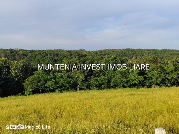 Teren de 935 mp, în Moșoaia