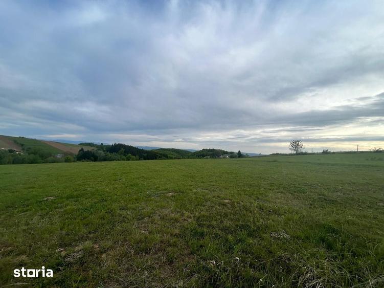 Teren de 11290 mp, în Meseșenii de Jos
