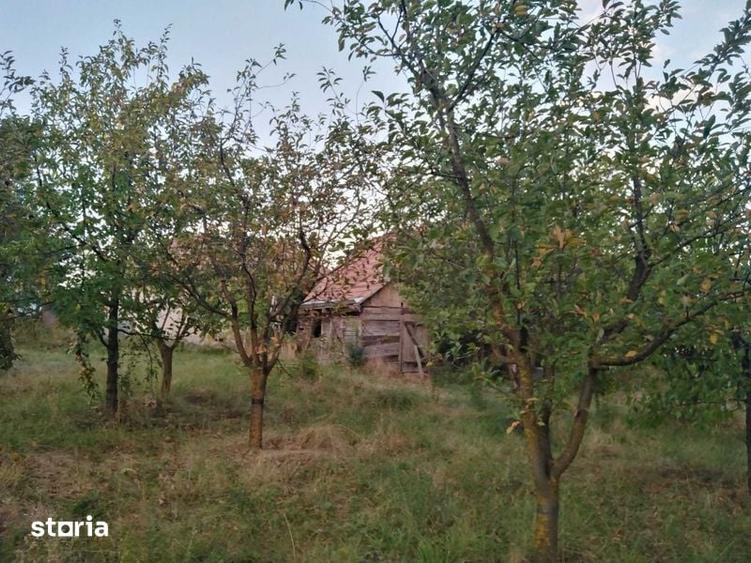 Teren de 1600 mp, în Tureni