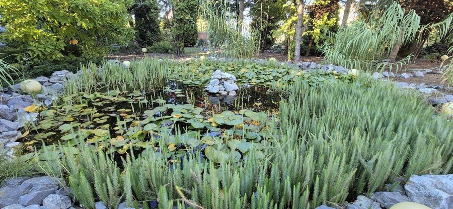 Casă individuală cu 10 camere cu Canalizare în Unirii