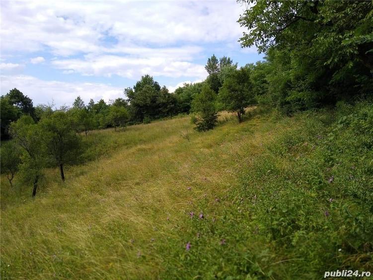 Teren de 4700 mp, în Romos