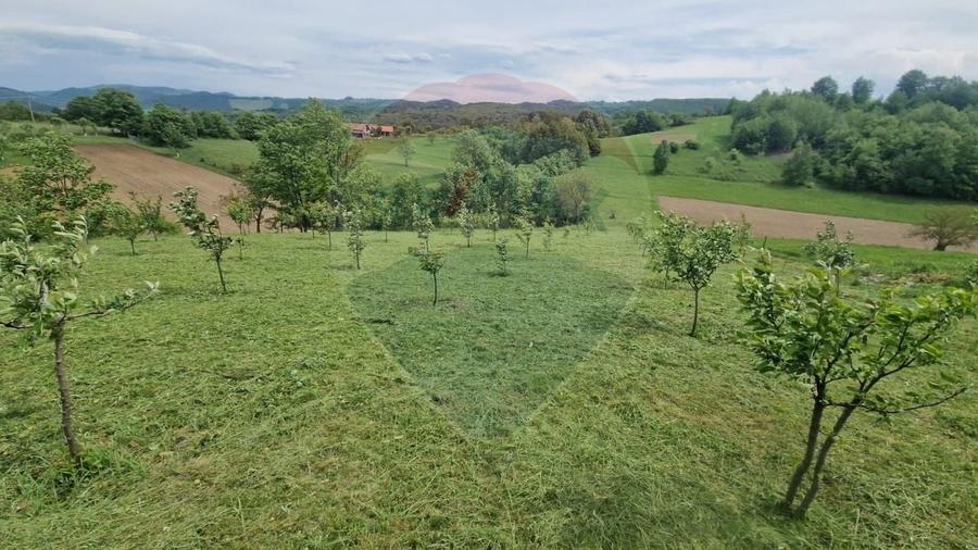 Teren Construcții intravilan de 5862 mp, în Bratca
