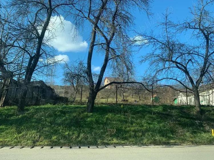 pers fiz BUCIUM str. Plopii fara Sot 9 caminul sf iosif - 4