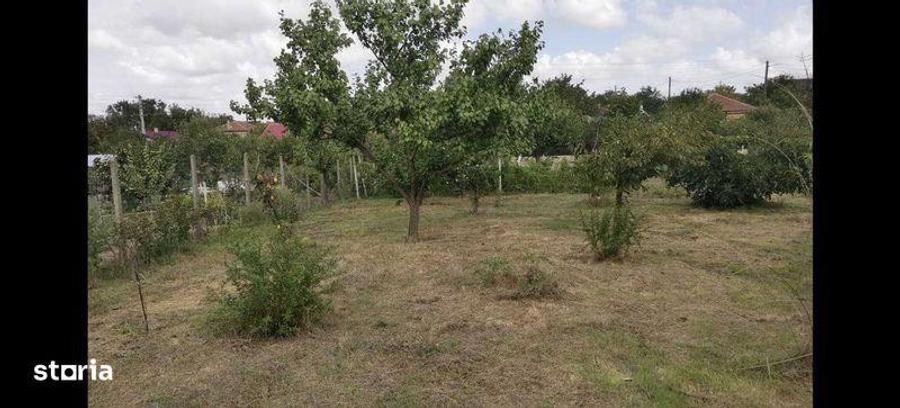 Vand teren 800 m2 - 3