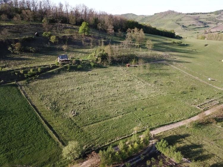 Teren de 2000 mp, în Central