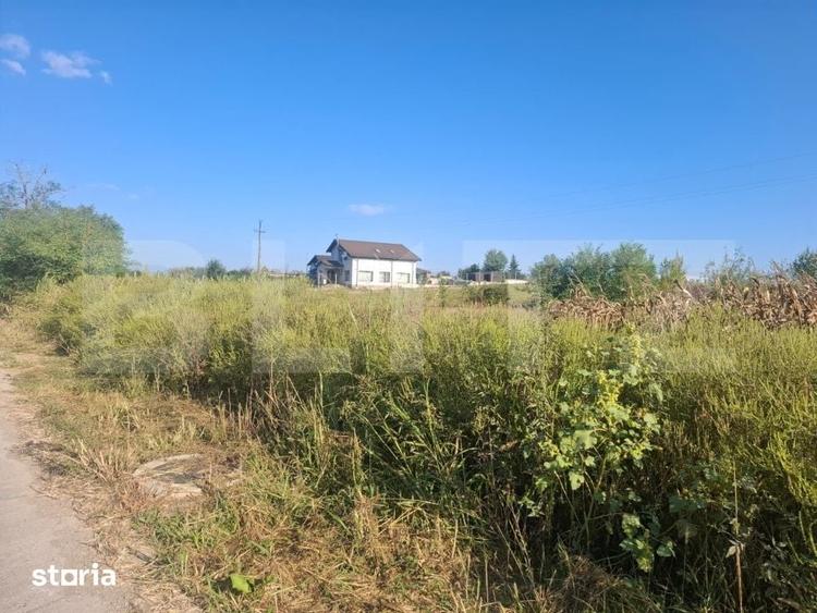 Teren de 5000 mp, în Văcărești