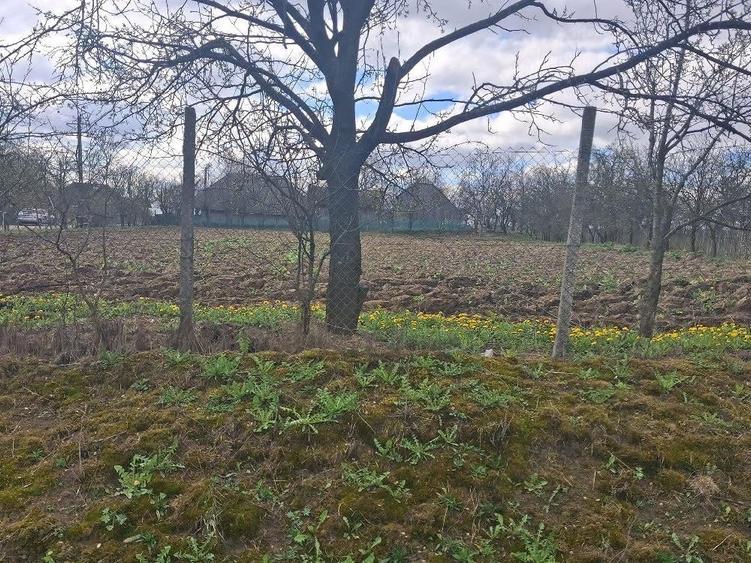 Teren de 2800 mp, în Horodnic