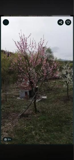 Teren de 2100 mp, în Gârbova