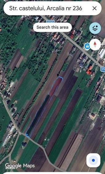 Teren de 5000 mp, în Șieu