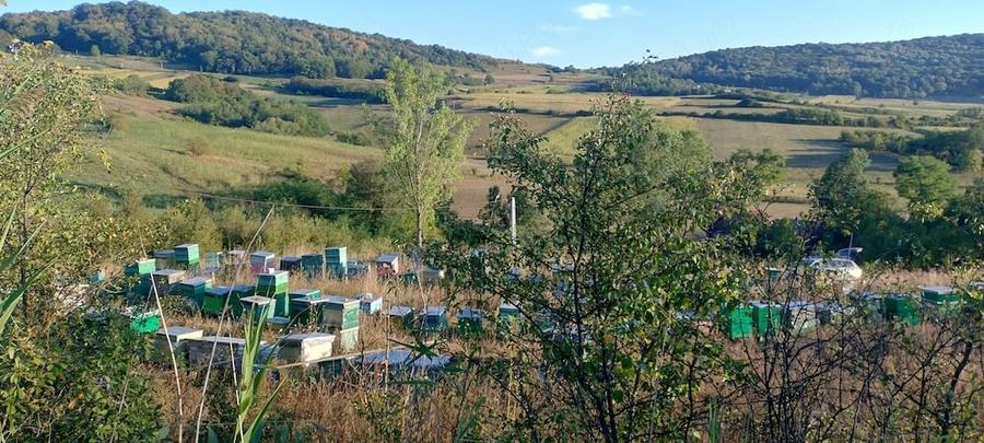 Tren cu intravilan pentru proiecte - 4